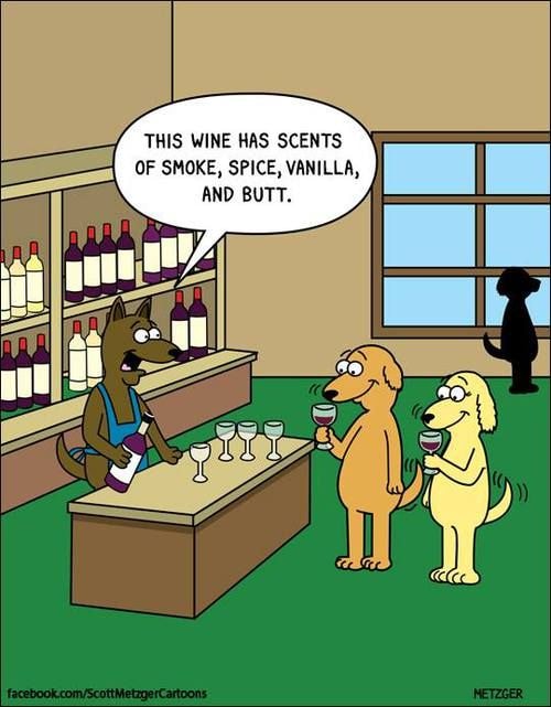 wine cartoon